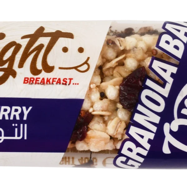 Organic Nation Delight Granola Bar with Cranberry
